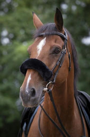207501 302 BLACK EQUITHEME