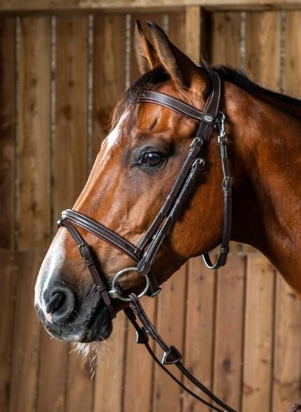 DY'ON FLASH NOSEBAND BRIDLE D COLLECTION Nero BRIGLIE WOJBHA BLACK DY'ON 