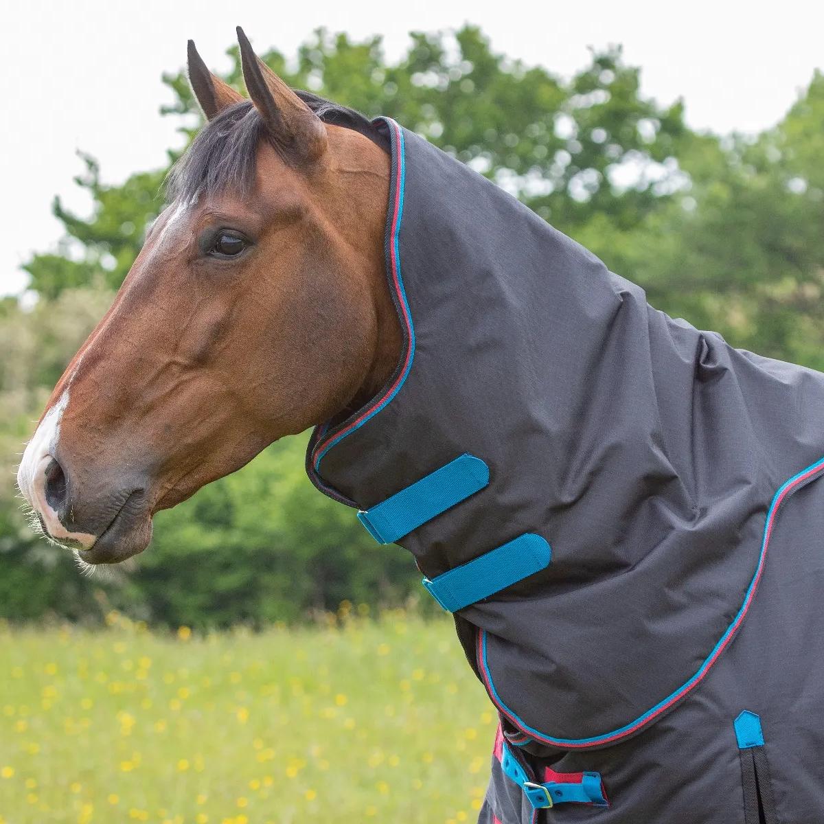 COPERTA DA PADDOCK CON COLLO 200 GR 32SH-9396 BLACK SHIRES EQUESTRIAN 