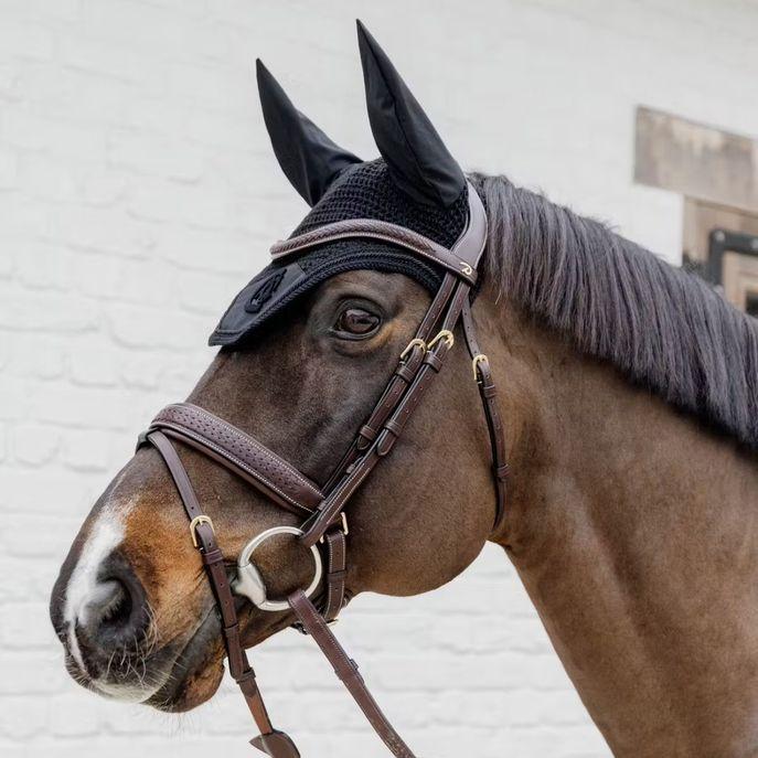 DY'ON PLAITED FLASH NOSEBAND BRIDLE WITH PULL BACK D COLLECTION Marrone TESTIERE DYAJAZ BROWN DY'ON 