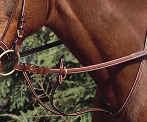 MARTINGALA COLLARE CUOIO FIBBIE OTTONE 09EU13063 BROWN EURO RIDING