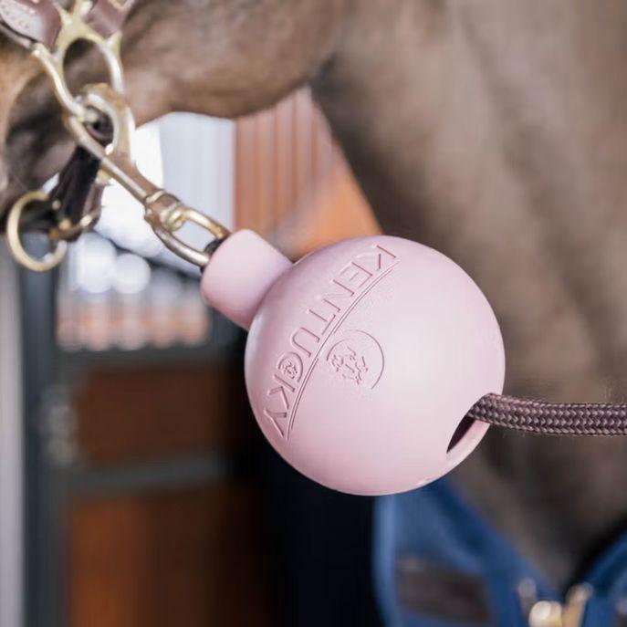 Palla In Gomma Protection Lead And Wall 11.5cm Rosa 82154 10OLDROSE KENTUCKY 