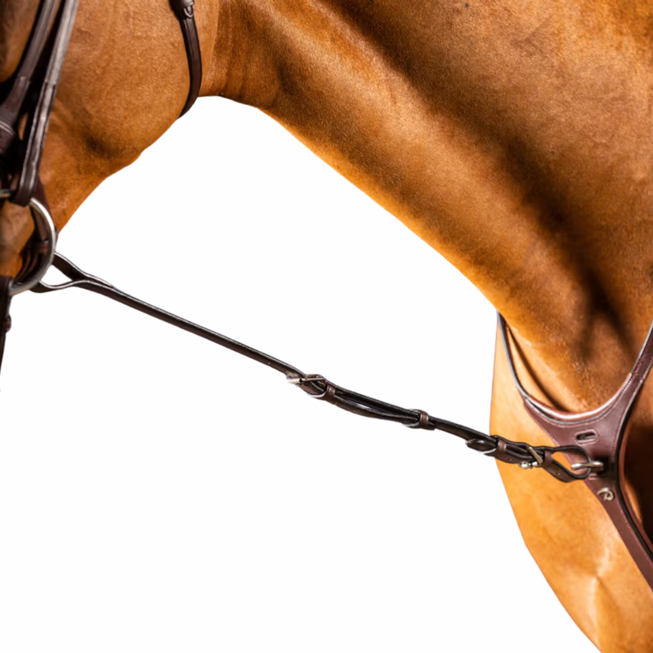 DY'ON STANDING MARTINGALE ATTACHMENT NEW ENGLISH COLLECTION Marrone MARTINGALE E FORCHETTE NE07E BROWN DY'ON 