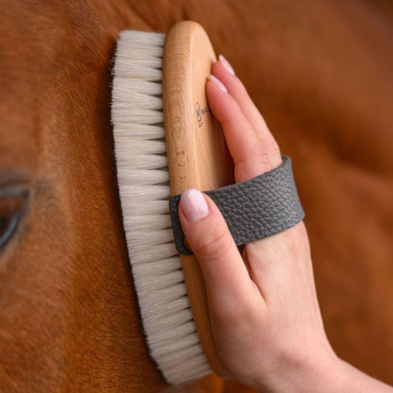 Brusca Polishing Brush Exclusive Line Waldhausen 3874419 NEUTRO WALDHAUSEN 