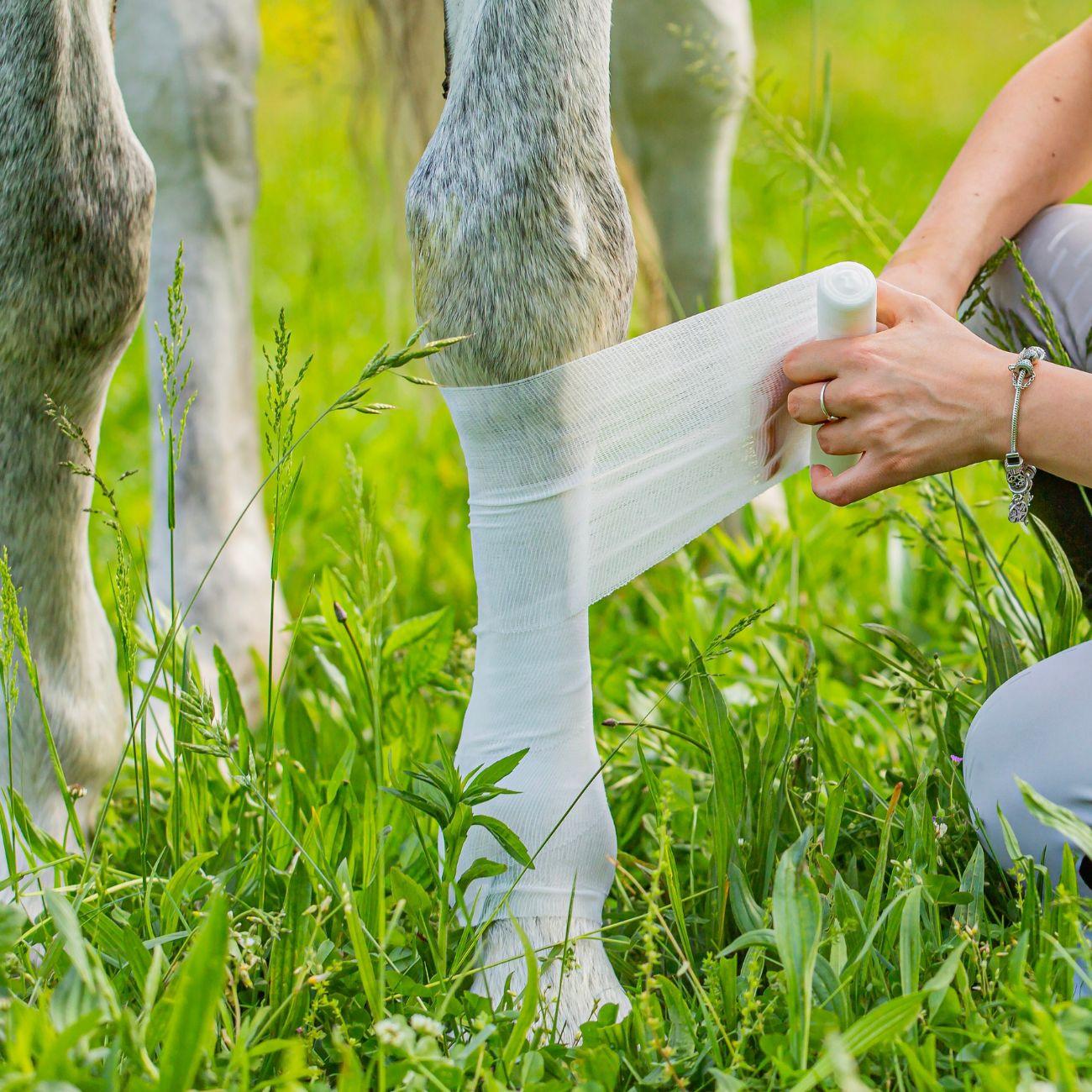 Bendaggio Raffreddante Equestre Elite X Mascheroni Selleria BENRAF NEUTRO EQUESTRE ELITE 
