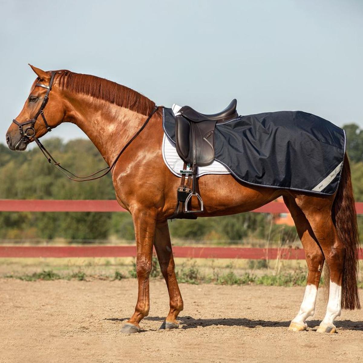 COPRIRENI IMPERMEABILE 31HO-AGPC90 NAVY-NAVY HORSEWARE