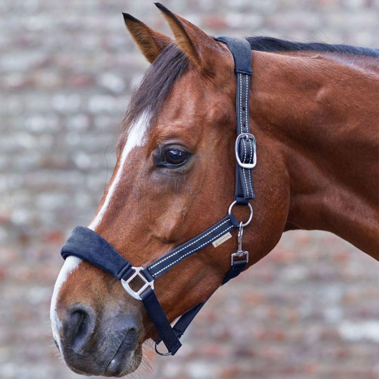 Waldhausen HALTER ALCANTARA WALDHAUSEN Blu CAPEZZINI E CAPEZZE 50475 05NIGHTBLUE WALDHAUSEN 