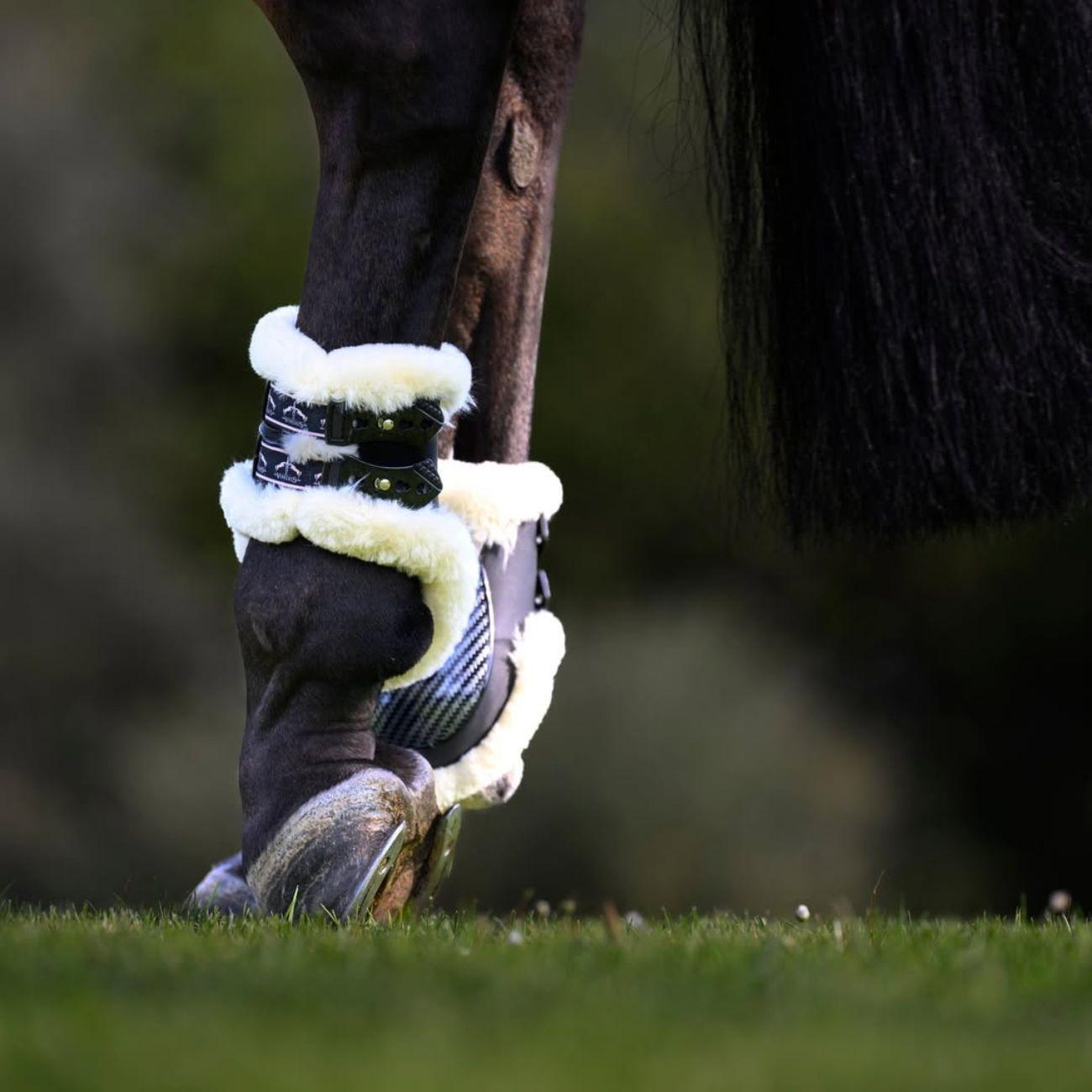 Paranocche Posteriori Carbon Gel Absolute Save The Sheep Veredus Nero CGAR-STS BLACK VEREDUS 