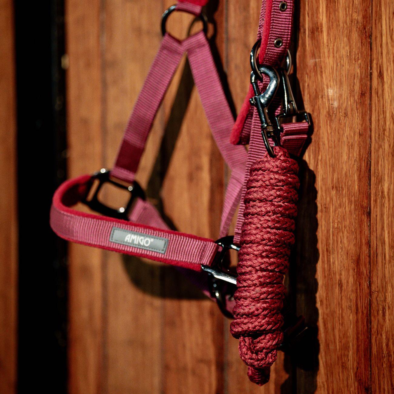 Set Capezza E Lunghina Amigo Horseware Bordeaux DHRX01 RRR0MULBERRY HORSEWARE 