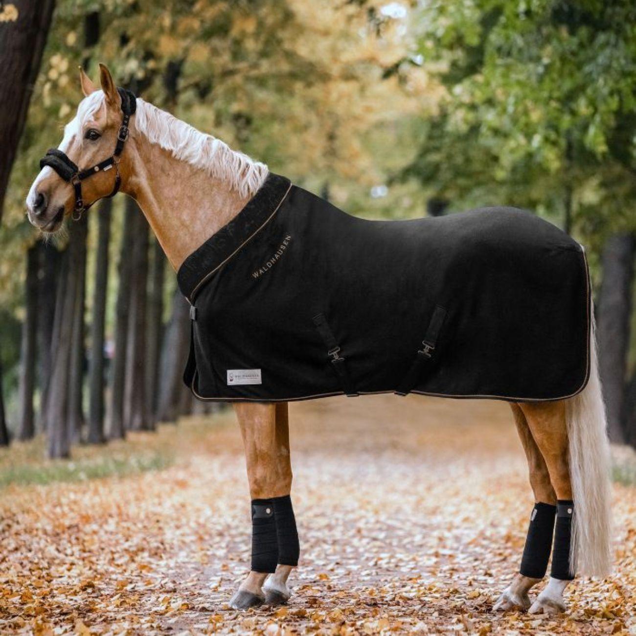 Waldhausen HALTER MODERN ROSE' WALDHAUSEN Nero CAPEZZINI E CAPEZZE 11154 01NERO WALDHAUSEN 