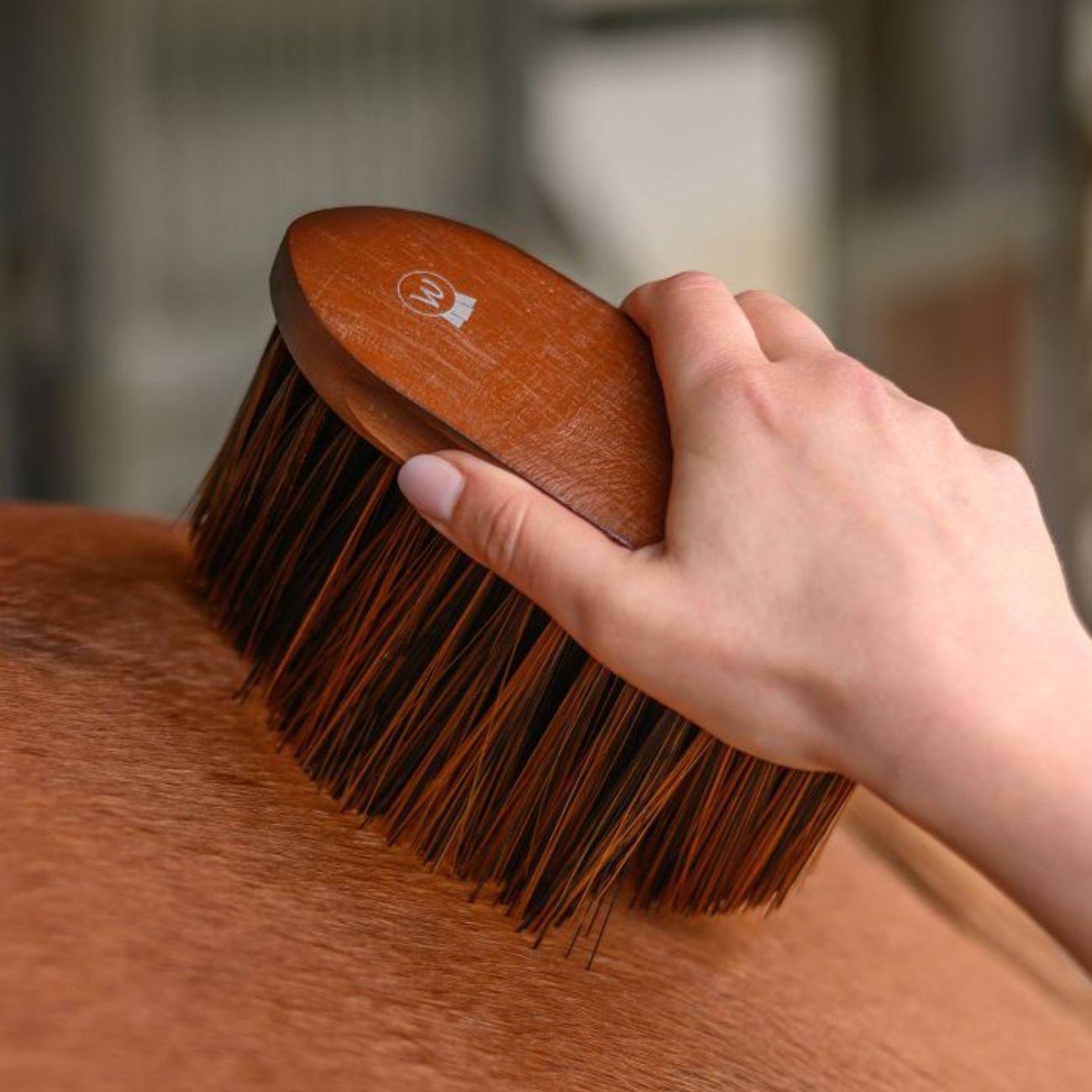 Brusca Anti-Dust Hardwood Waldhausen 3825501 LEGNO WALDHAUSEN 