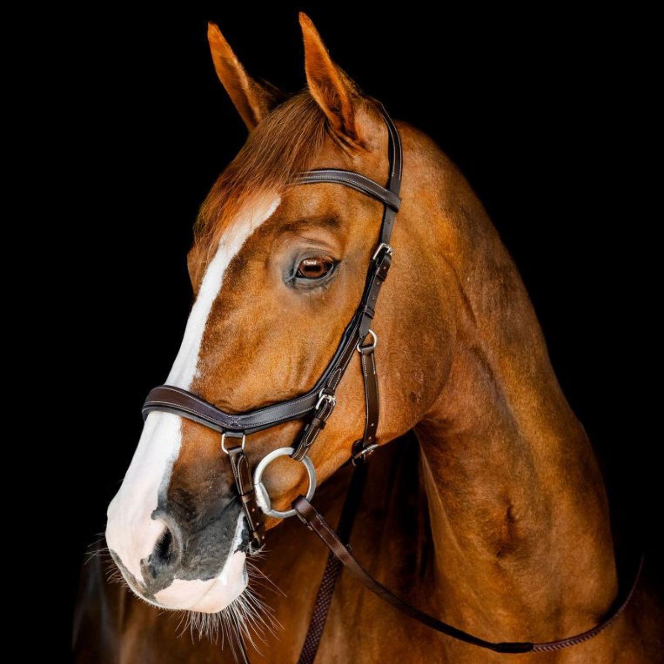 TESTIERA MICKLEM COMPETITION HORSEWARE SBMBN1 BROWN HORSEWARE
