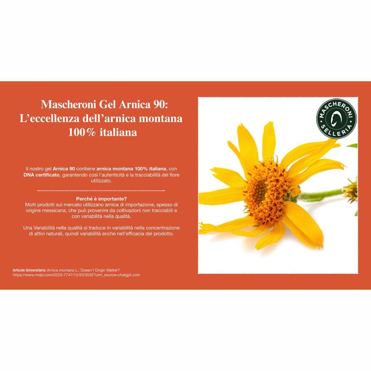 ARNICA NATURALE 90 - 500ML MC005 NEUTRO MASCHERONI SELLERIA 