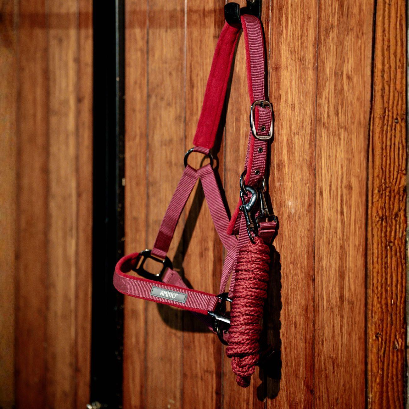 Set Capezza E Lunghina Amigo Horseware Bordeaux DHRX01 RRR0MULBERRY HORSEWARE 