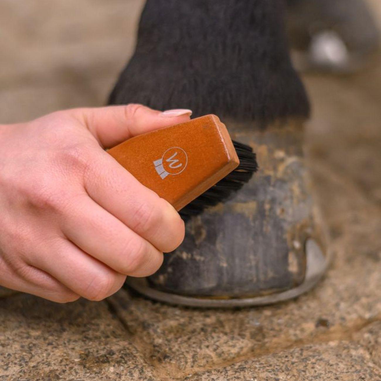 Spazzola Per Zoccoli Hardwood Waldhausen 3825701 LEGNO WALDHAUSEN 