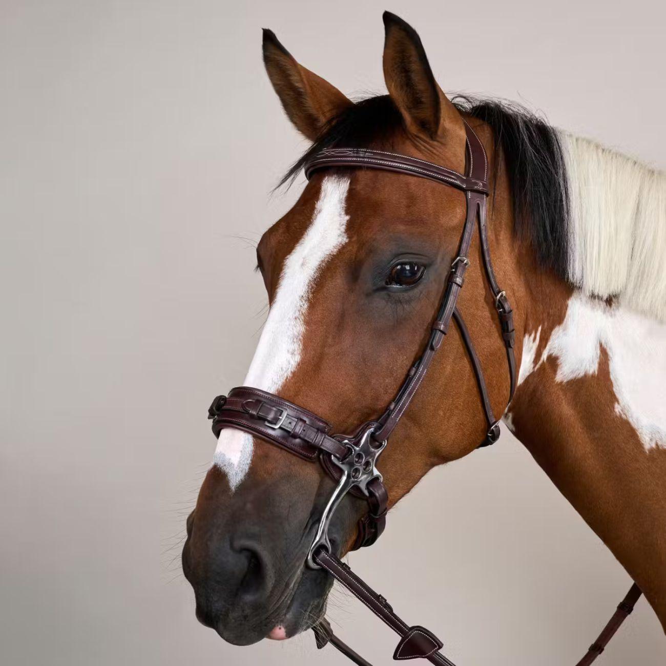 Briglia Per Hackamore Us  Collection Dy'on USFADX BROWN DYON 