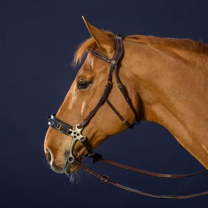 DY'ON HACKAMORE BRIDLE D COLLECTION Marrone TESTIERE DYFADX BROWN DY'ON 