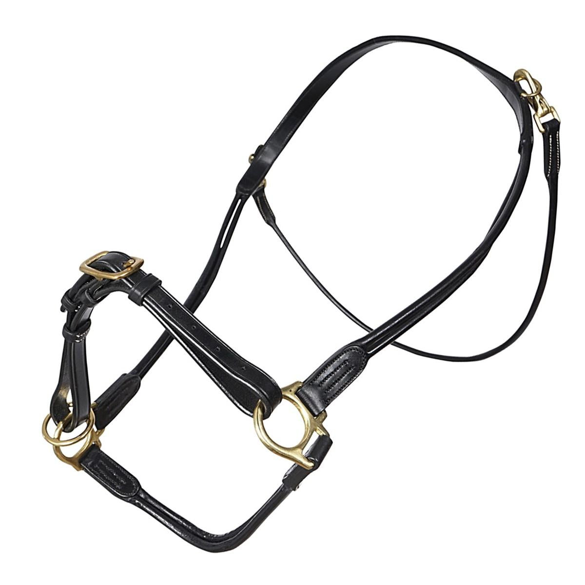 DY'ON CAPEZZA TUBOLARE CON FIBBIERIA OTTONE DYON Nero CAPEZZINI E CAPEZZE 09DY-B833 BLACK DY'ON 