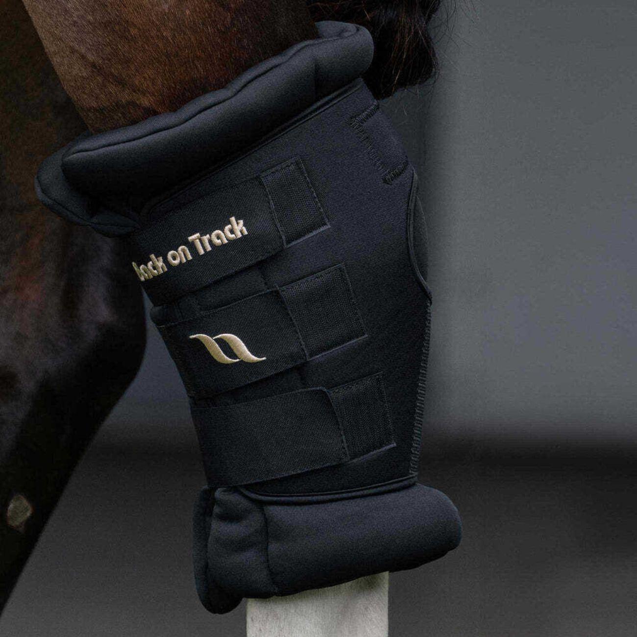 Back On Track Royal Delux Hock Boots Back On Track Black B20229 004BLACK BACK ON TRACK 