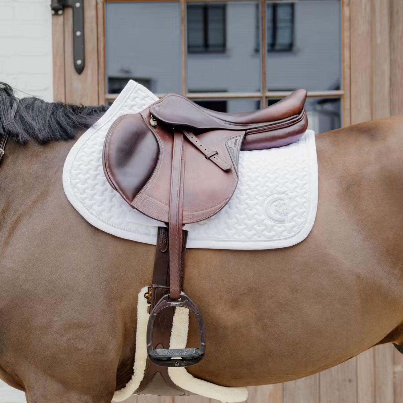  42719-SJ 02WHITE KENTUCKY 