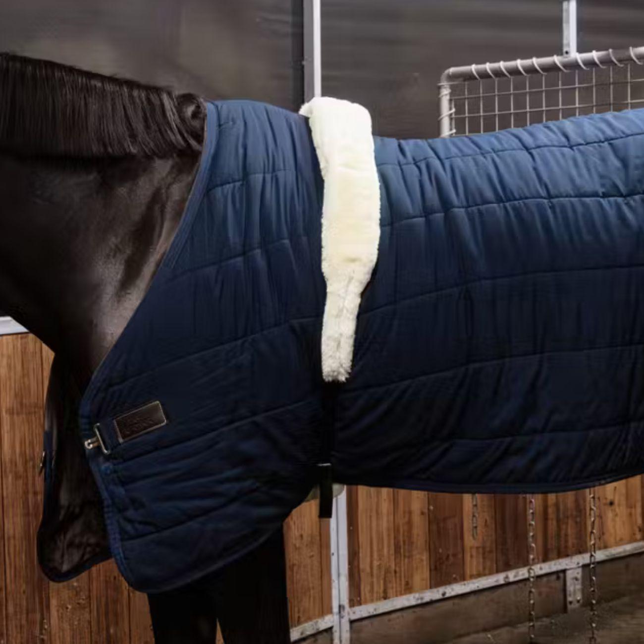  42431 02BLACK KENTUCKY 