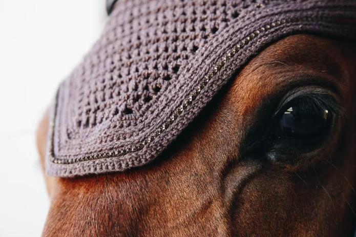 CUFFIA WELLINGTON CON STRASS KENTUCKY 42610 05BROWN KENTUCKY 