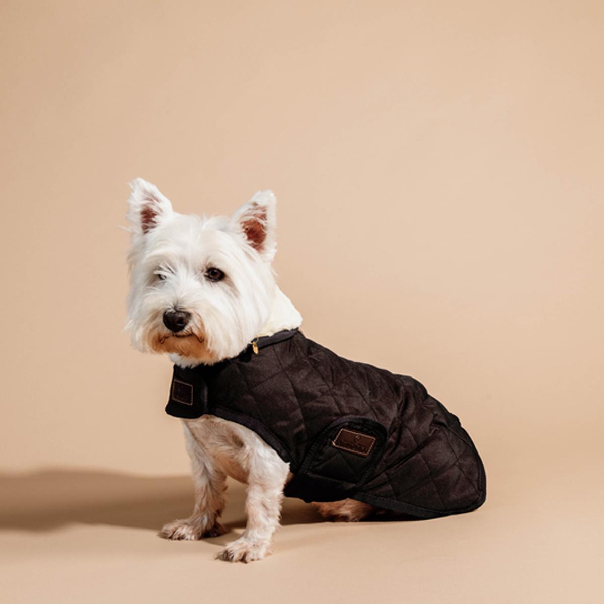 COPERTA PER CANE KENTUCKY 09KT52104 BROWN KENTUCKY 