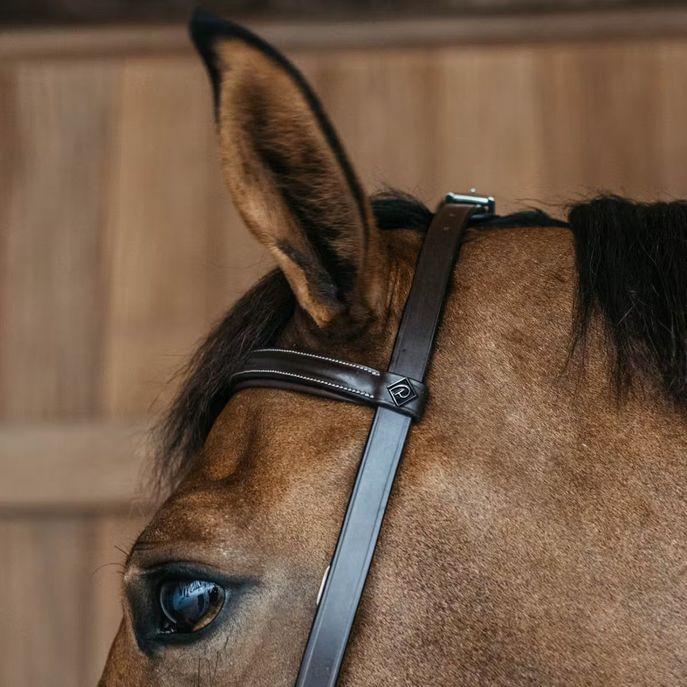 DY'ON TRAINING BRIDLE WBD DY'ON Marrone TESTIERE WOXXII BROWN DY'ON 