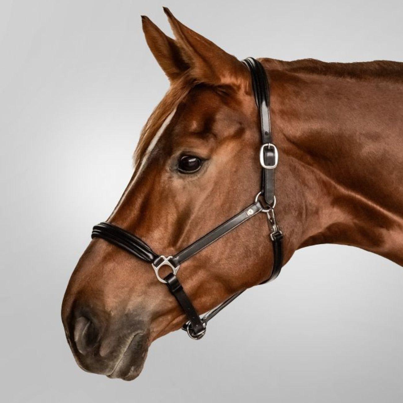 Capezza Classy S-Line Waldhausen Nero 98088 01BLACK WALDHAUSEN 