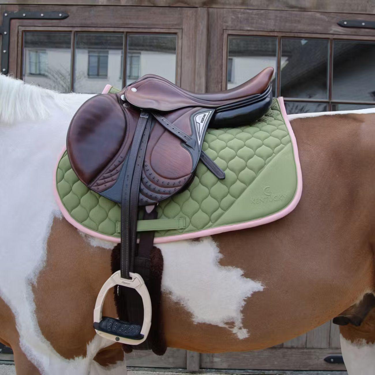  42737-SJ 76-10KAKI/OLDROSE KENTUCKY 