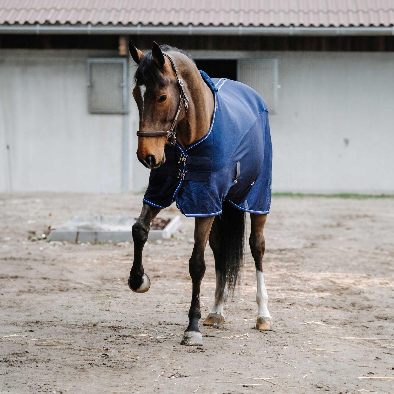 Coperta 3d Mesh Equitheme 400542 NAVY EQUITHEME 