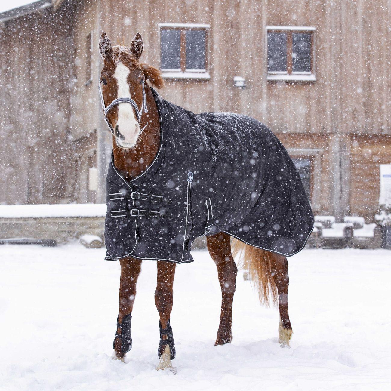 Coperta Waterproof OXford Foderata In Pile Riding World 400894 BLACK RIDING WORLD 