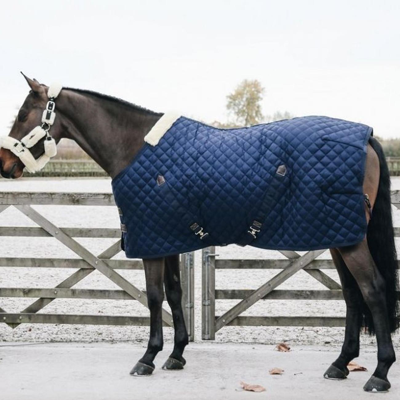 Horse rug BOX 200GR. 09KT52159 NAVY KENTUCKY