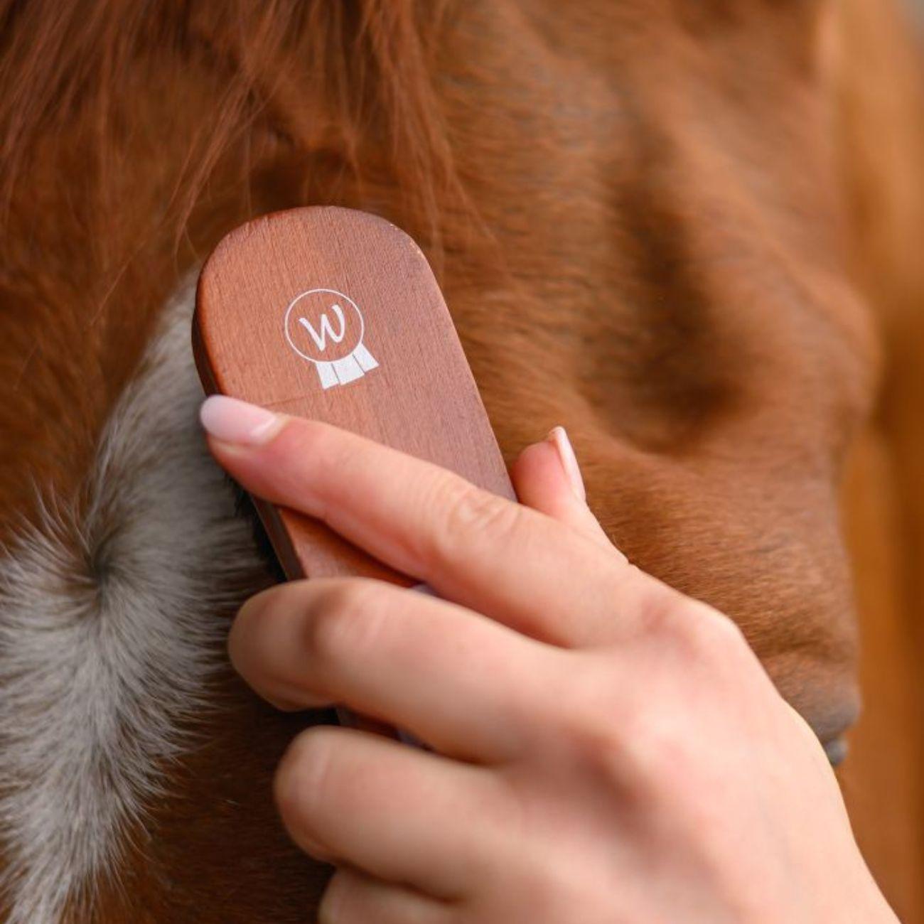 Spazzola Per La Testa Hardwood Waldhausen 3825601 LEGNO WALDHAUSEN 