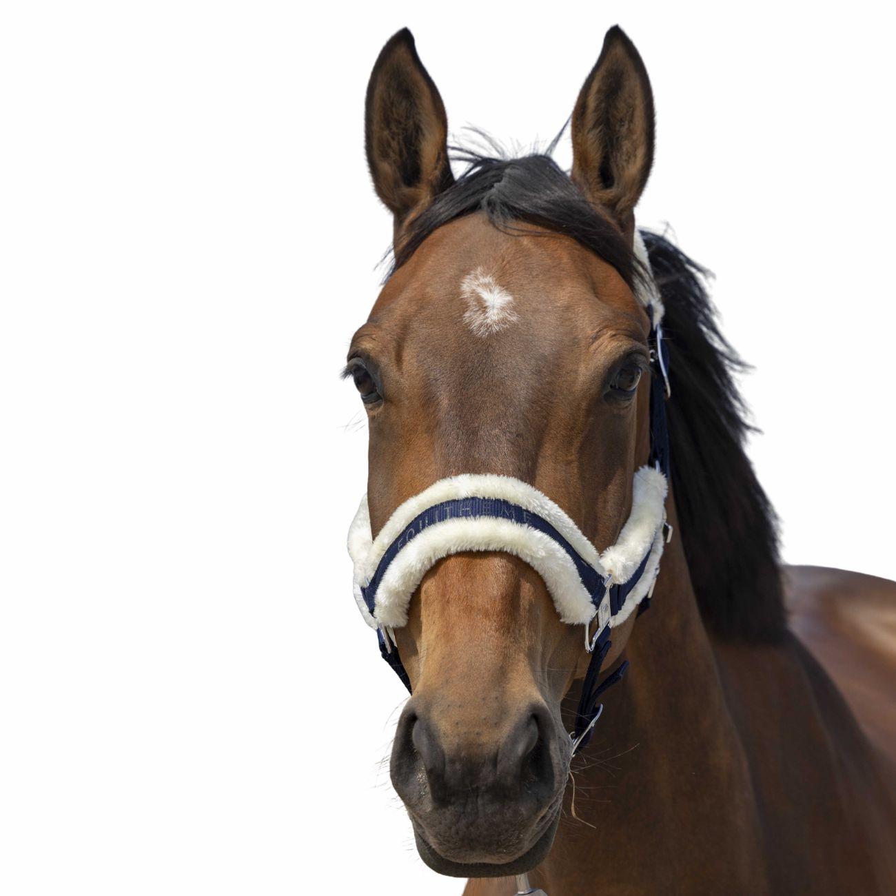 Capezza Mounton Nylon Halter Equitheme 510253 307NAVY/WHITE EQUITHEME 
