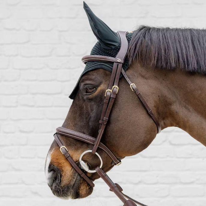 DY'ON PLAITED FLASH NOSEBAND BRIDLE D COLLECTION Marrone TESTIERE DYAOAK BROWN DY'ON 
