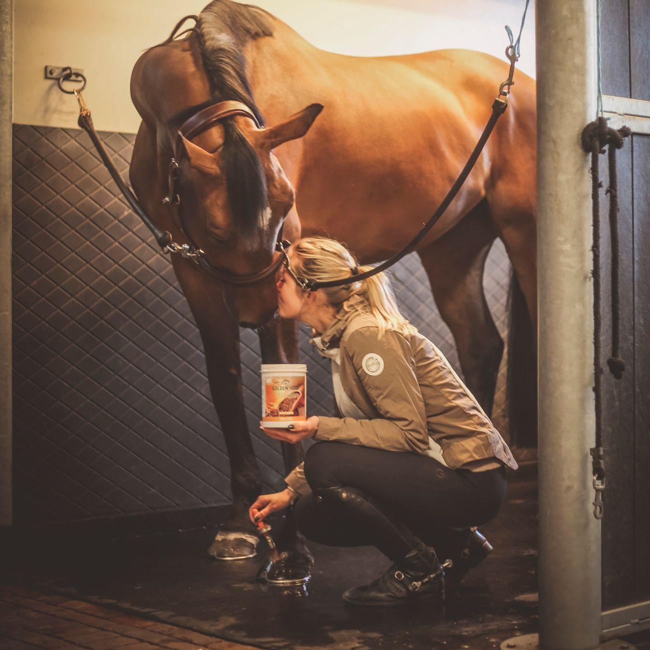 Grasso Per Gli Zoccoli Golden Hoof 1000ml Veredus GOH1 NEUTRO VEREDUS 