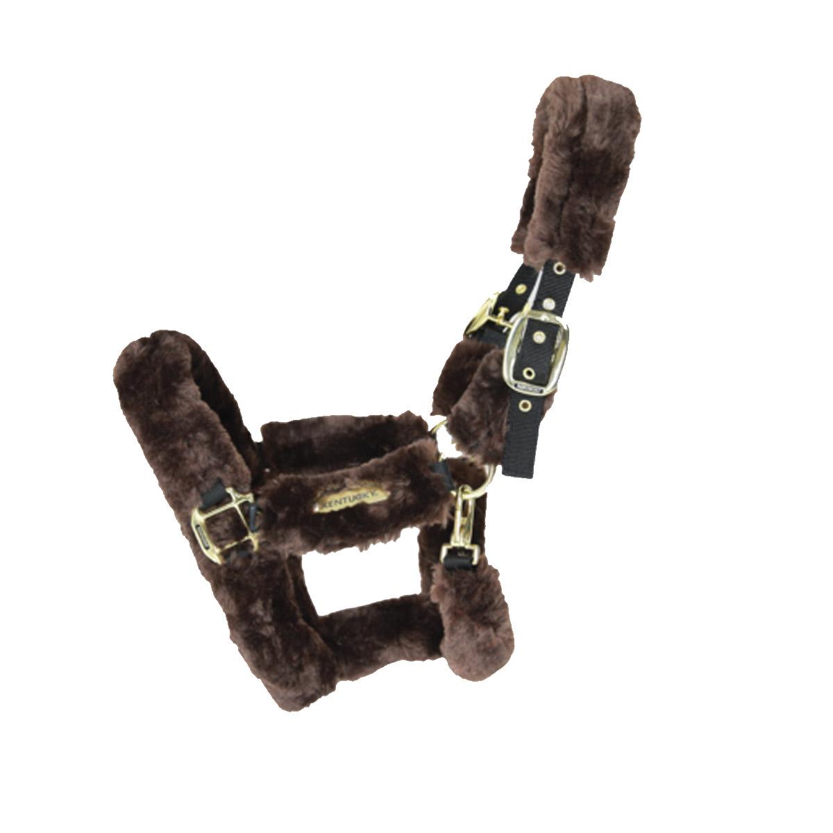 Halter RIhorse rug in PILE KENTUCKY 42502 05BROWN KENTUCKY