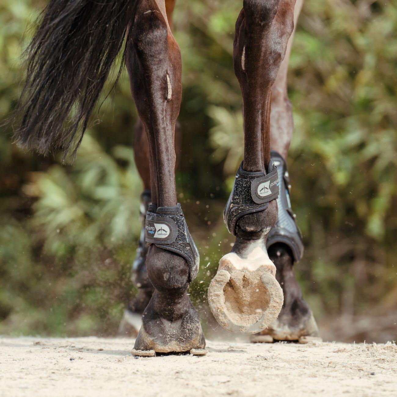 Paranocche Posteriori In Neoprene Young-Jump Vento Veredus Nero YJV BLACK VEREDUS 
