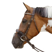 42663 05BROWN KENTUCKY