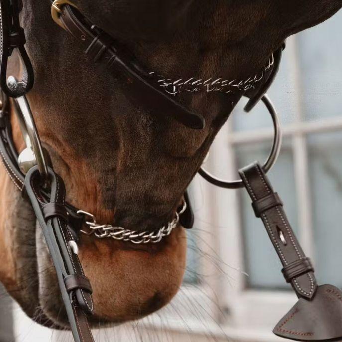 DY'ON CAPEZZINO INCORCIATO CON CATENA DYON DY COLLECTION Marrone CAPEZZINI E CAPEZZE DY044 BROWN DY'ON 