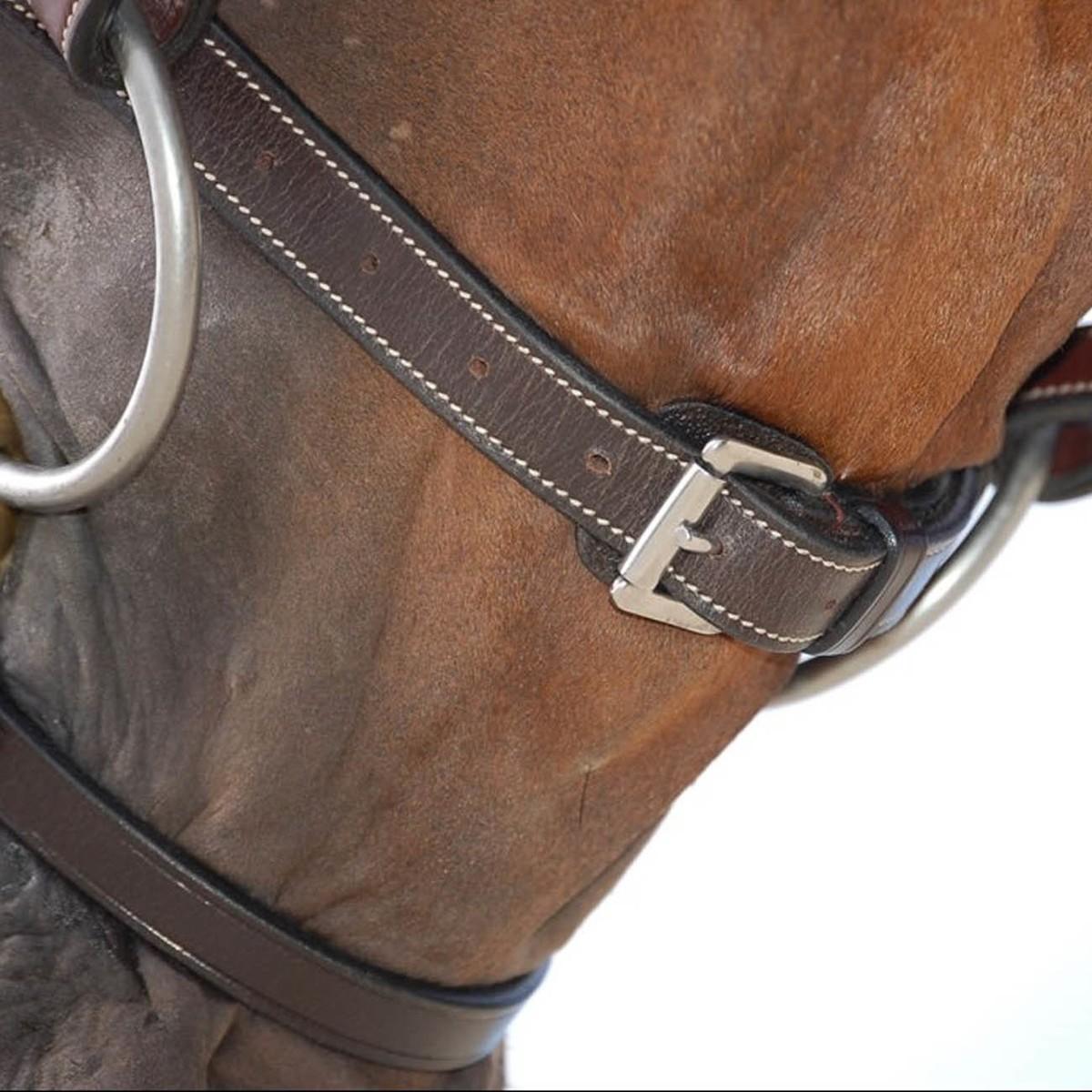 Testiera In Cuoio Con Redini In Gomma Dy'on 09INB164+B262 BROWN DY'ON 