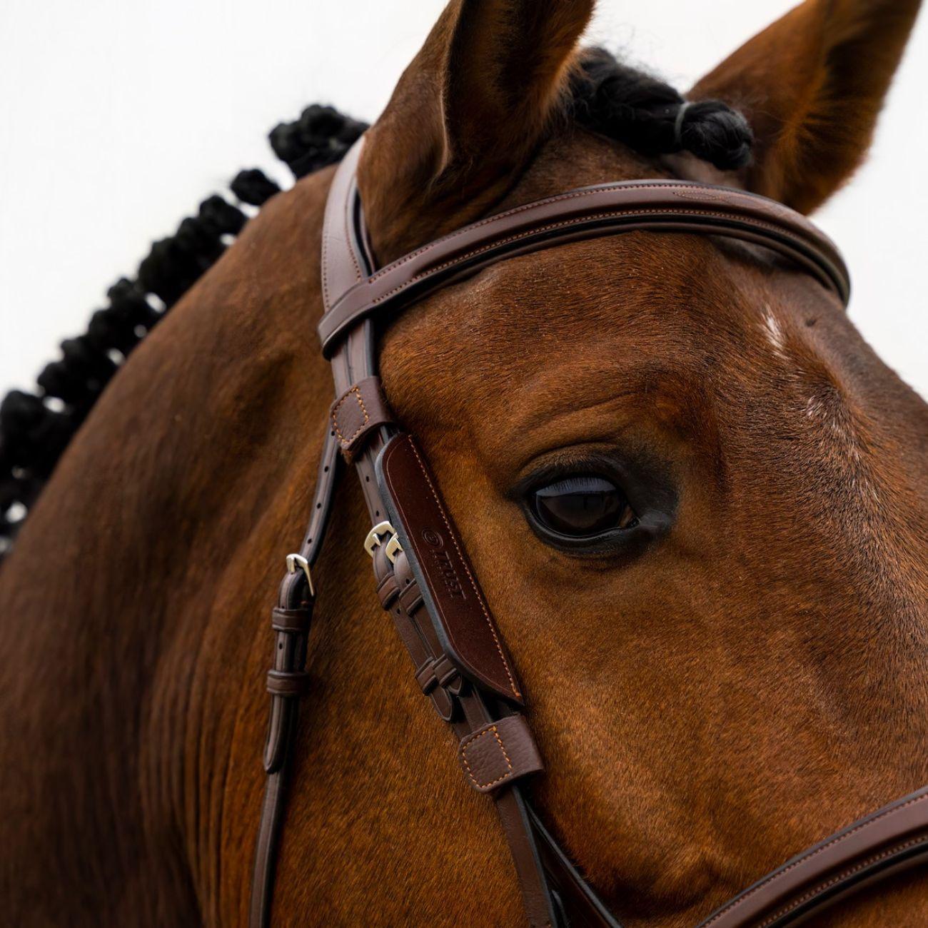 Paraocchi Trust Equestrian Marrone E22901 BROWN TRUST EQUESTRIAN 