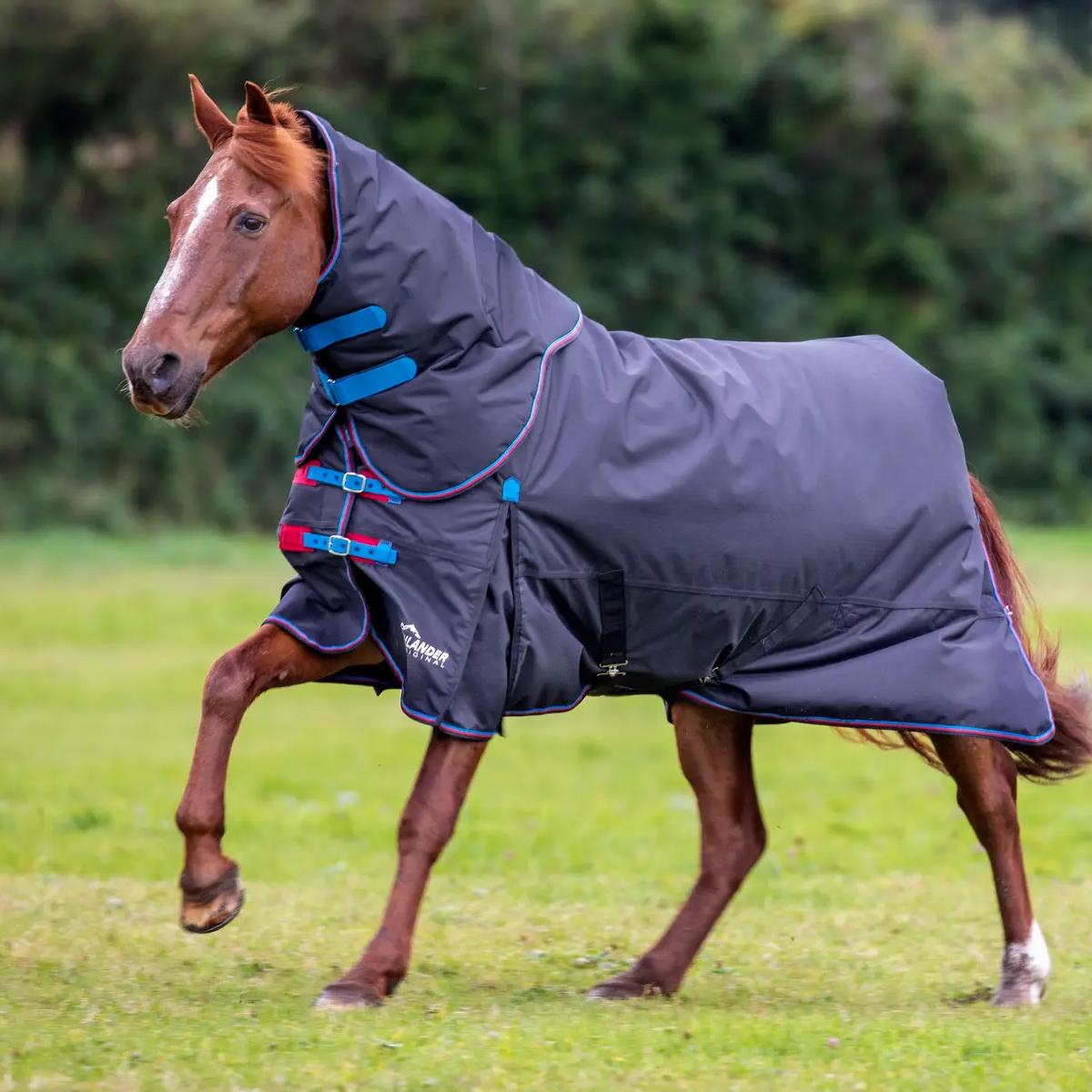 COPERTA DA PADDOCK CON COLLO 200 GR 32SH-9396 BLACK SHIRES EQUESTRIAN 