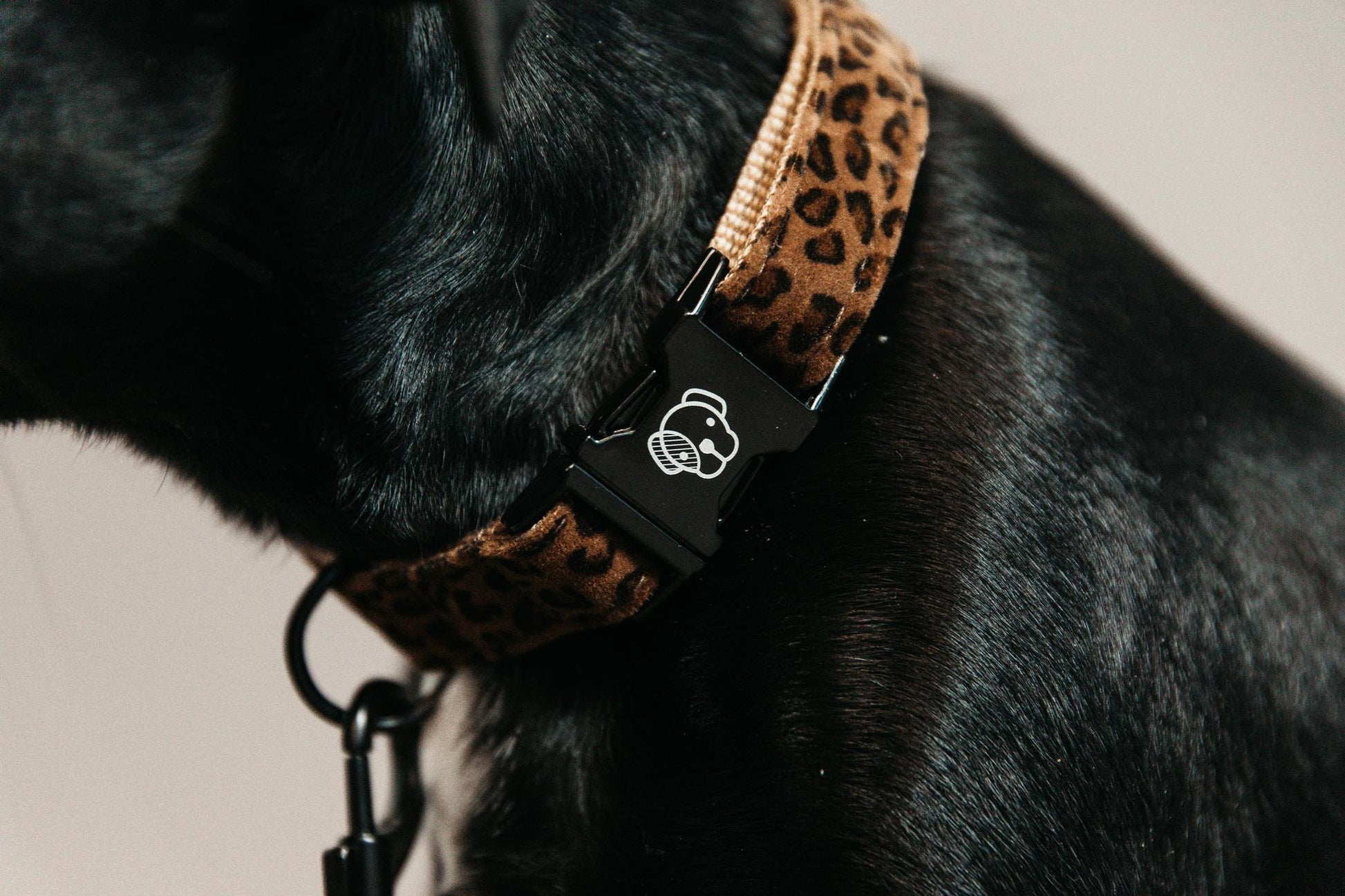 COLLARE PER CANE COCCODRILLLO KENTUCKY 09KT-42630 55LEOPARD KENTUCKY 