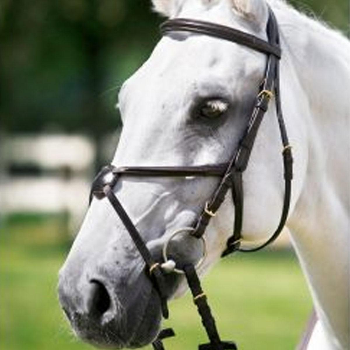 Bridle in CUOIO COMPLETA with CAPEZZINO INCROCIATO 09TA-1426999 black TATTINI