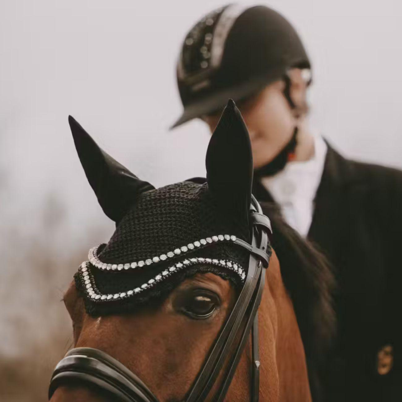  42635 01BLACK KENTUCKY 