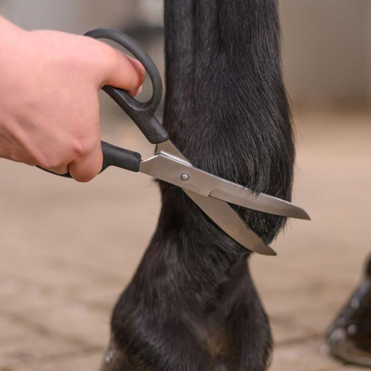 Forbici Da Toelettatura Waldhausen 154200 BLACK WALDHAUSEN 