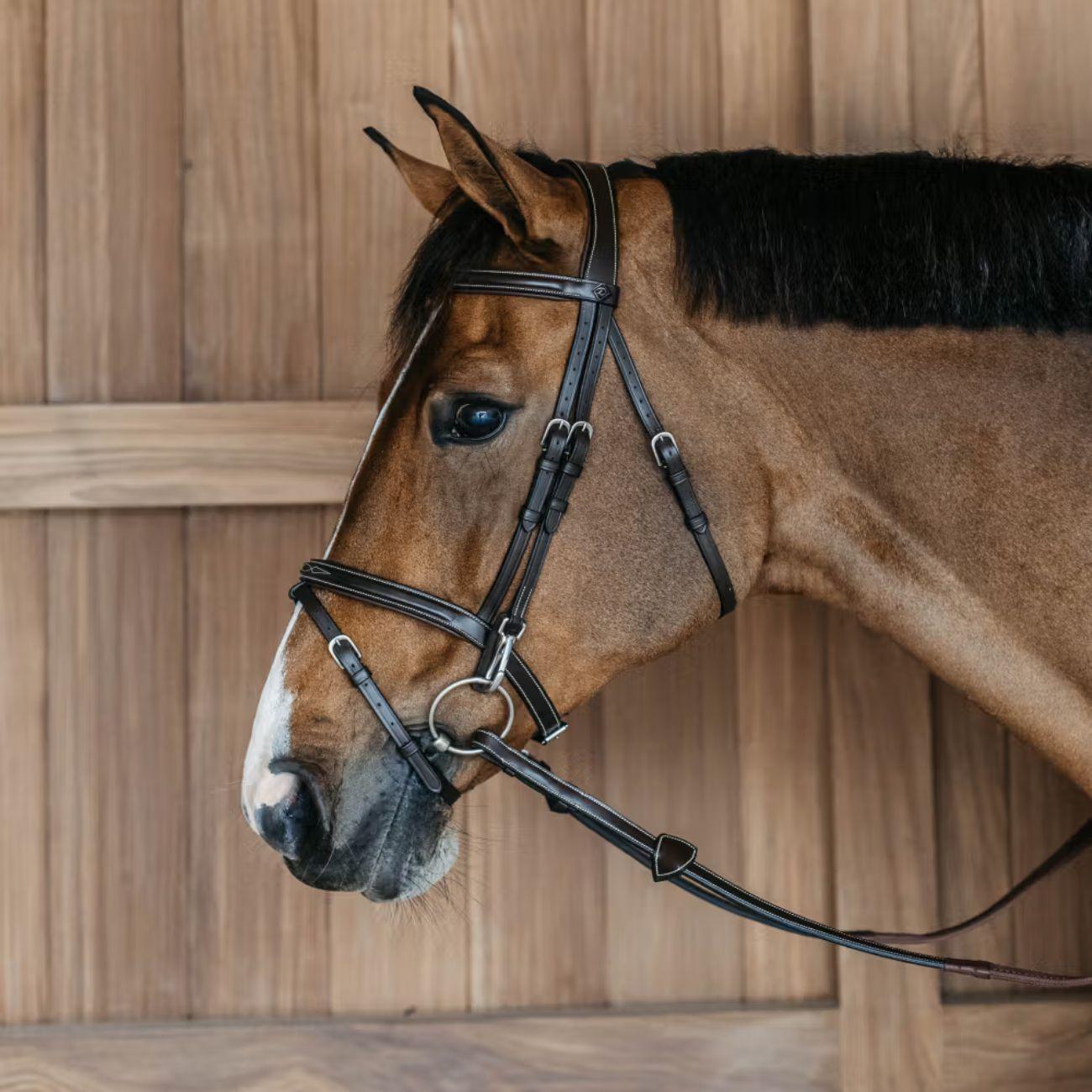 TESTIERA CON CAPEZZINA FLASH E MOSCHETTONI DY'ON WOAPGB BROWN DY'ON 