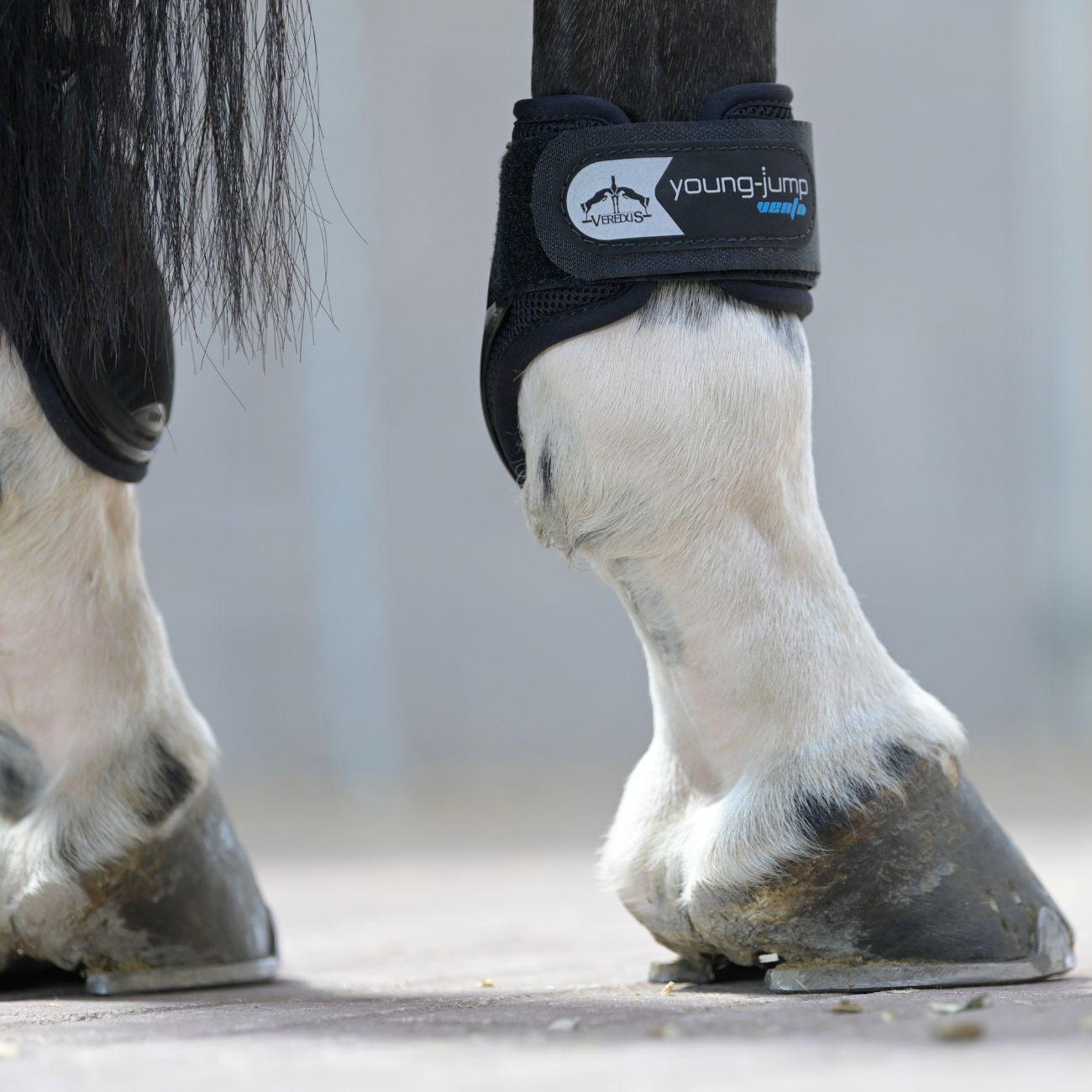 Paranocche Posteriori In Neoprene Young-Jump Vento Veredus Nero YJV BLACK VEREDUS 